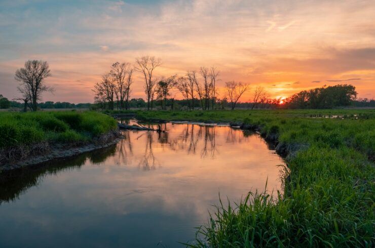 River winding through grassland
