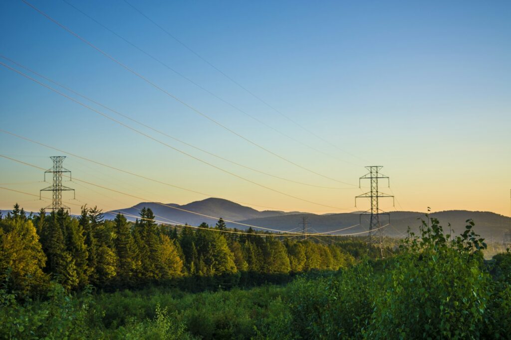 Power transmission lines beside trees