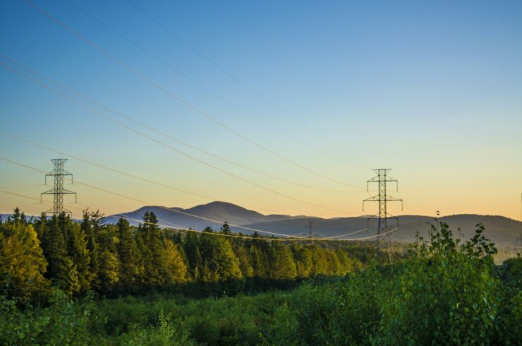 Power transmission lines beside trees