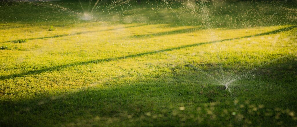 In-ground sprinklers spraying water across a green lawn in warm evening light.