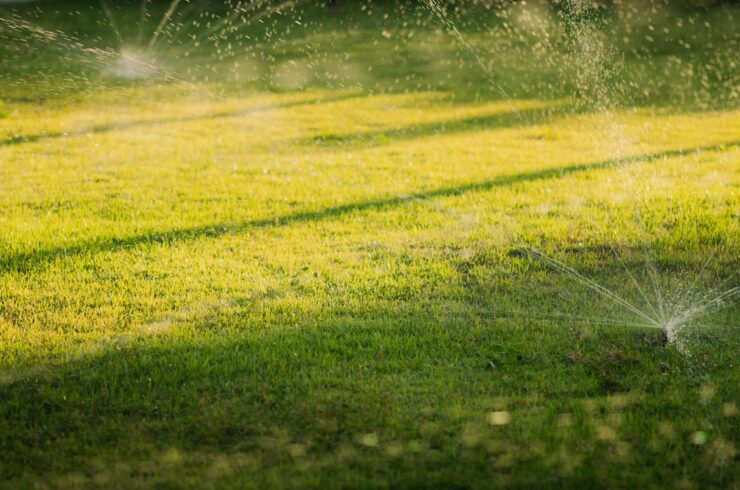 In-ground sprinklers spraying water across a green lawn in warm evening light.